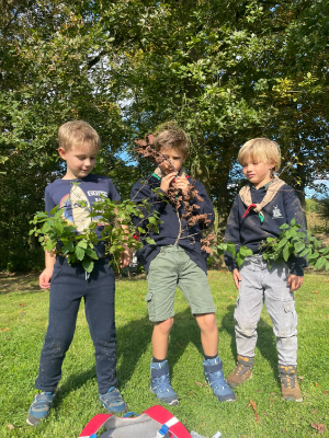 Sint-Martinus den XIIde - september-oktober